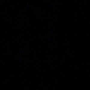 Meet your Posher, Judith